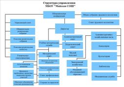 Органами управления Школой являются: 

Директор.
Педагогический совет.
Общее собрание работников. 
Управляющий совет.
Родительское собрание.